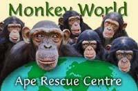 Monkey World